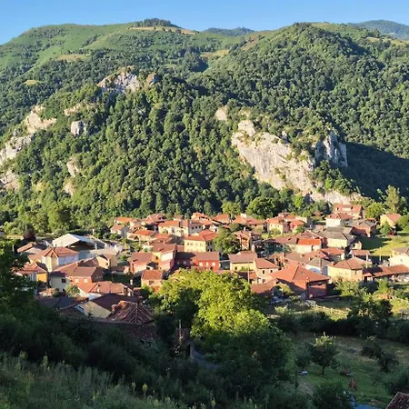 Casona Asturiana La Llosa 펜션 Pelugano